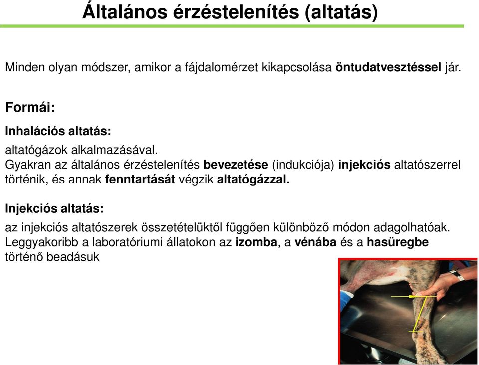 Gyakran az általános érzéstelenítés bevezetése (indukciója) injekciós altatószerrel történik, és annak fenntartását végzik