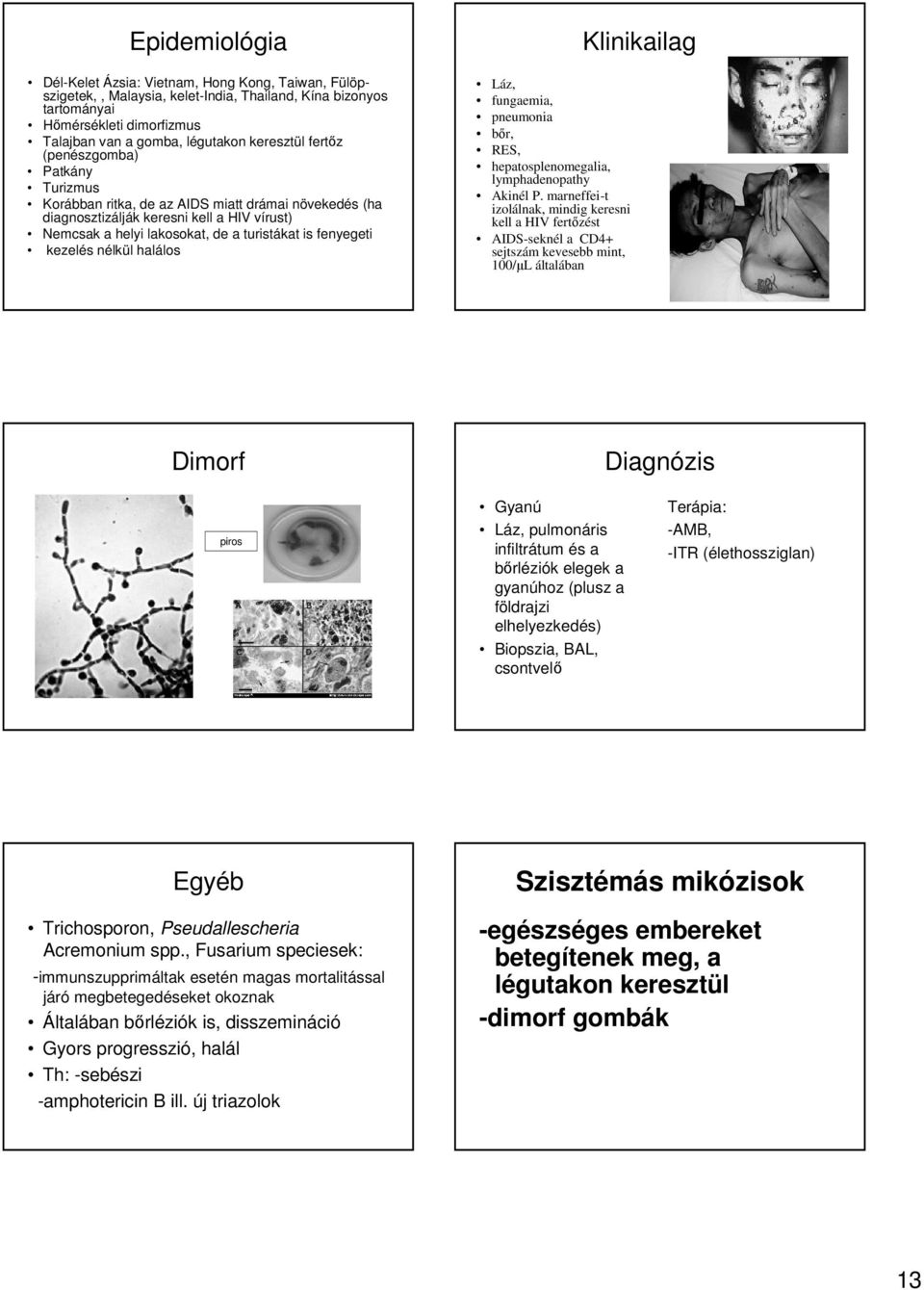 fenyegeti kezelés nélkül halálos Láz, fungaemia, pneumonia bőr, RES, hepatosplenomegalia, lymphadenopathy Akinél P.