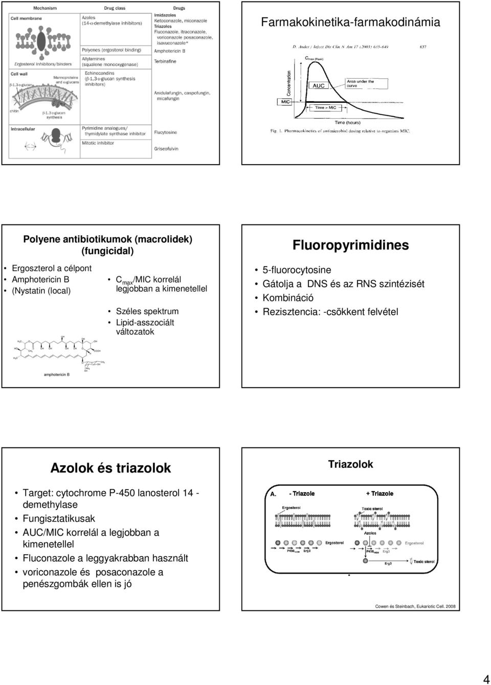 kimenetellel Széles spektrum Lipid-asszociált változatok 5-fluorocytosine Gátolja a DNS és az RNS szintézisét Kombináció Rezisztencia: -csökkent felvétel Azolok