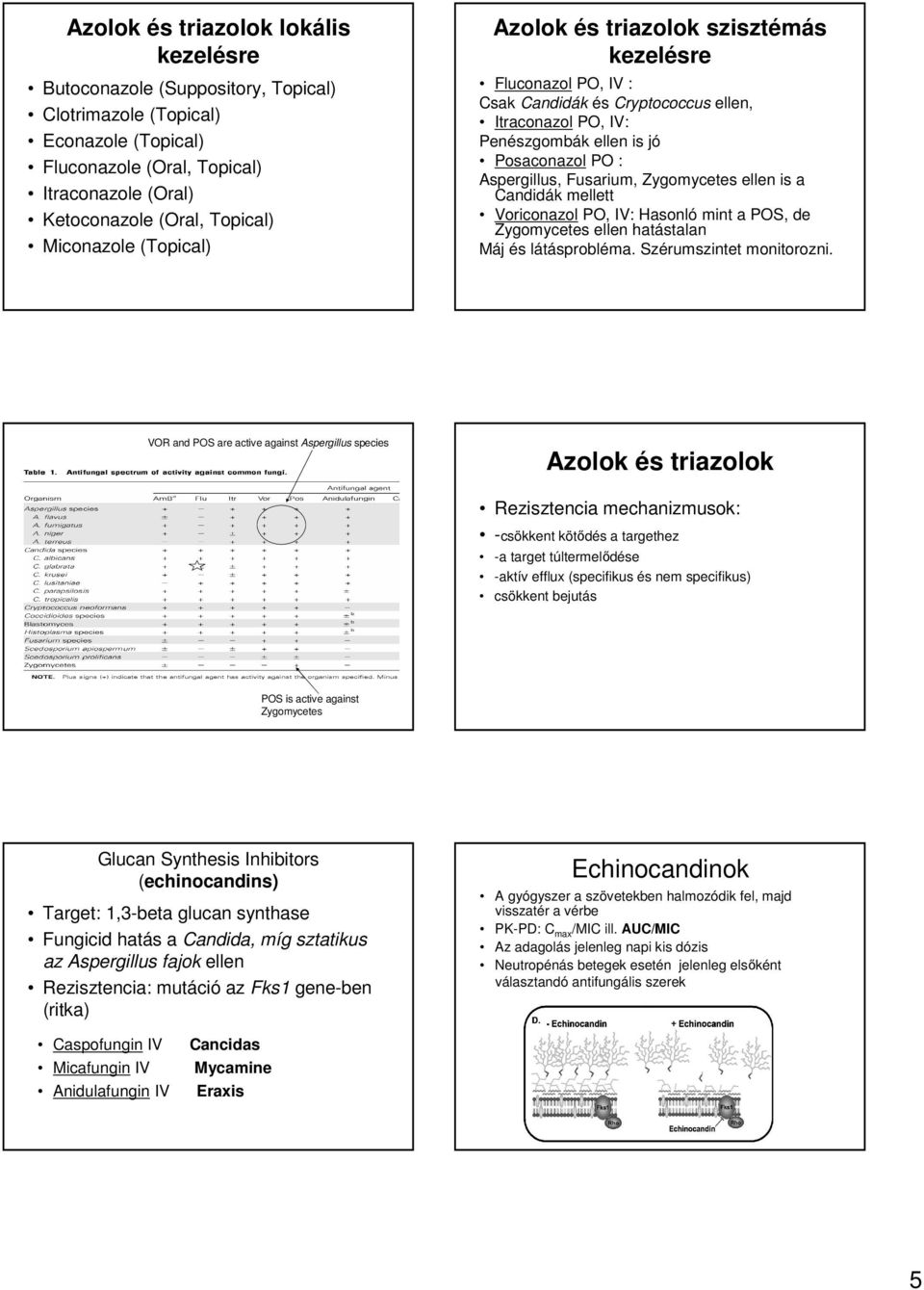 Fusarium, Zygomycetes ellen is a Candidák mellett Voriconazol PO, IV: Hasonló mint a POS, de Zygomycetes ellen hatástalan Máj és látásprobléma. Szérumszintet monitorozni.