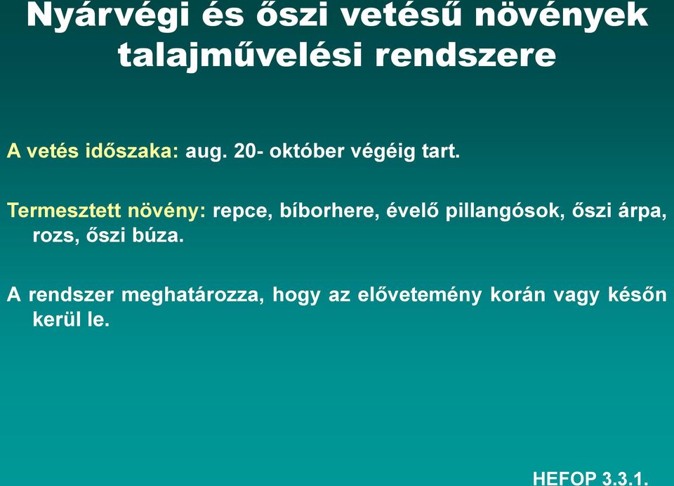 Termesztett növény: repce, bíborhere, évelő pillangósok, őszi