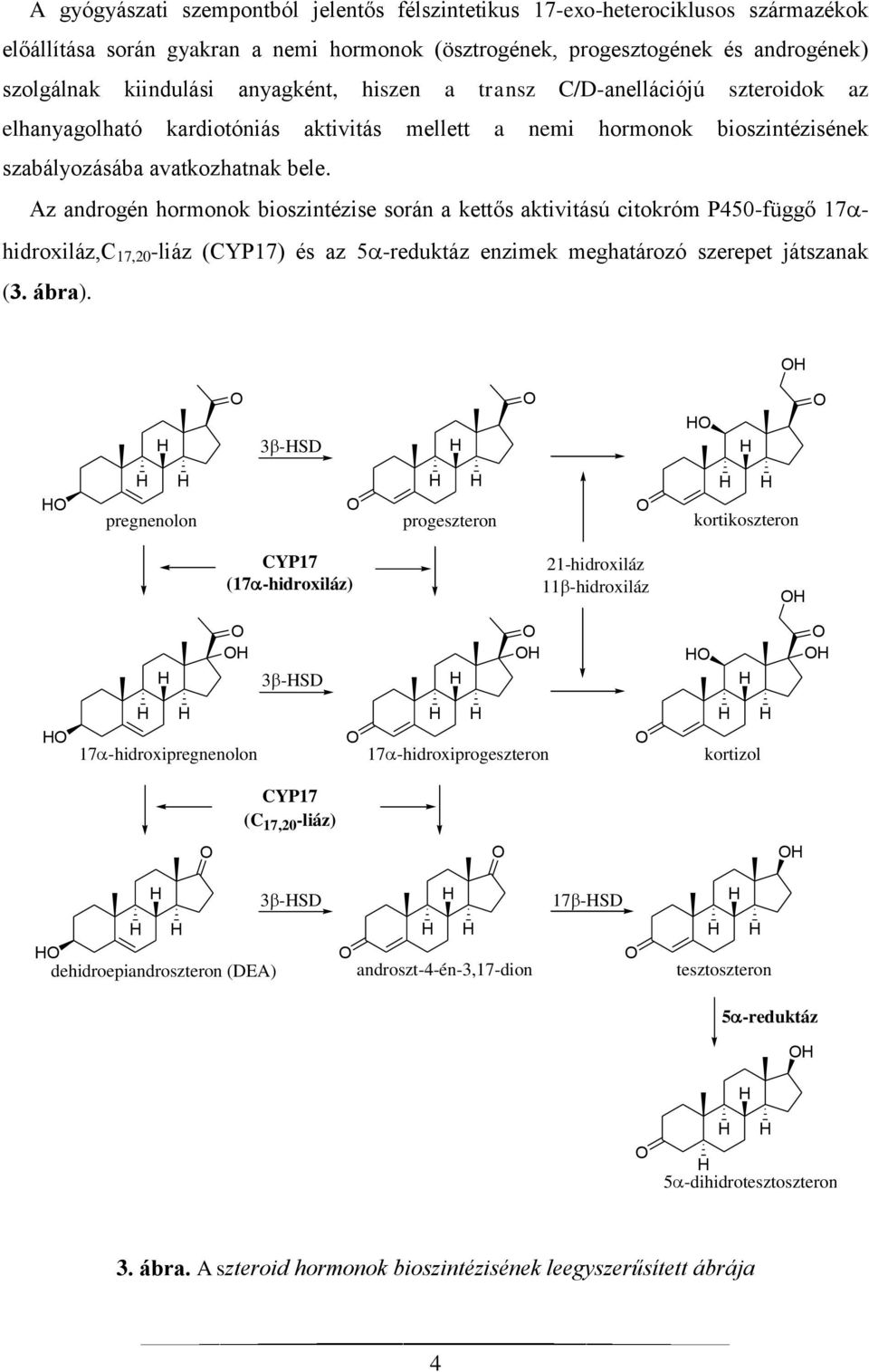Az androgén hormonok bioszintézise során a kettős aktivitású citokróm P450-függő 17 hidroxiláz,c 17,20 -liáz (CYP17) és az 5 -reduktáz enzimek meghatározó szerepet játszanak (3. ábra).