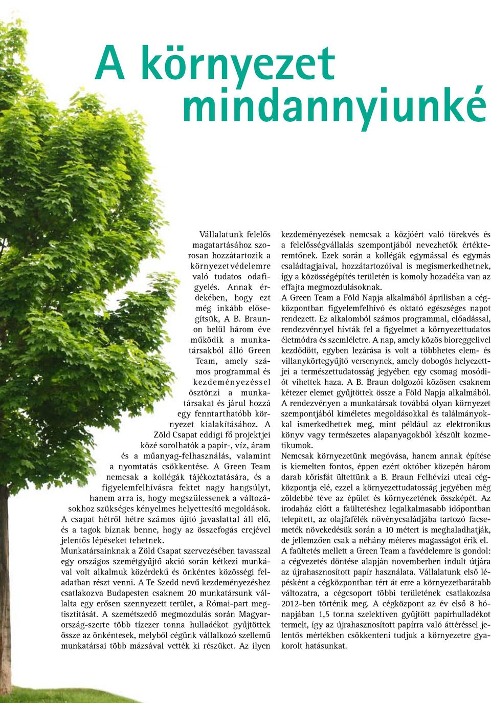 A Zöld Csapat eddigi fő projektjei közé sorolhatók a papír-, víz, áram és a műanyag-felhasználás, valamint a nyomtatás csökkentése.