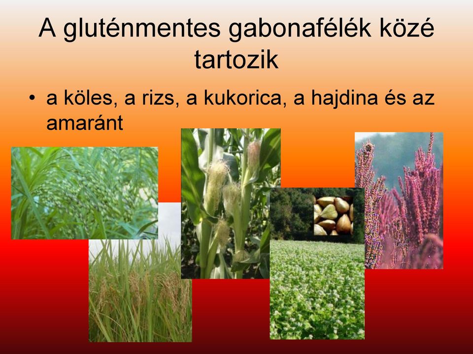 tartozik a köles, a