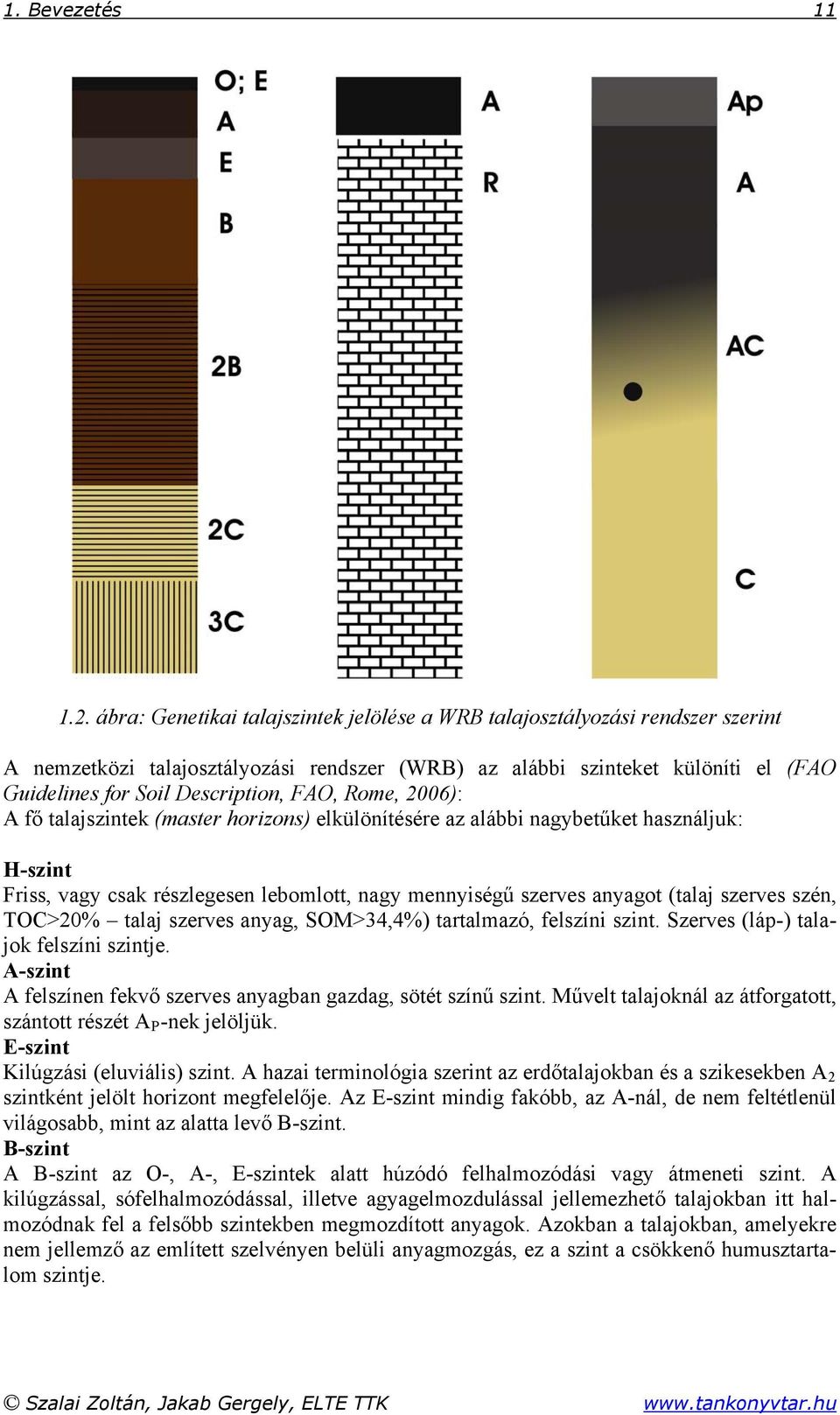 Rome, 2006): A fő talajszintek (master horizons) elkülönítésére az alábbi nagybetűket használjuk: H-szint Friss, vagy csak részlegesen lebomlott, nagy mennyiségű szerves anyagot (talaj szerves szén,