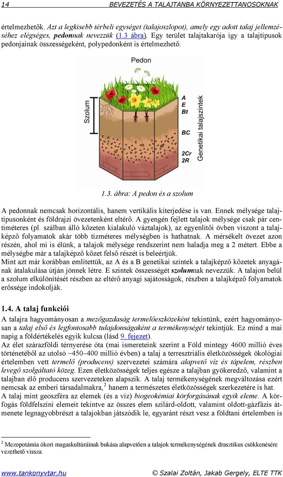 ábra: A pedon és a szolum A pedonnak nemcsak horizontális, hanem vertikális kiterjedése is van. Ennek mélysége talajtípusonként és földrajzi övezetenként eltérő.