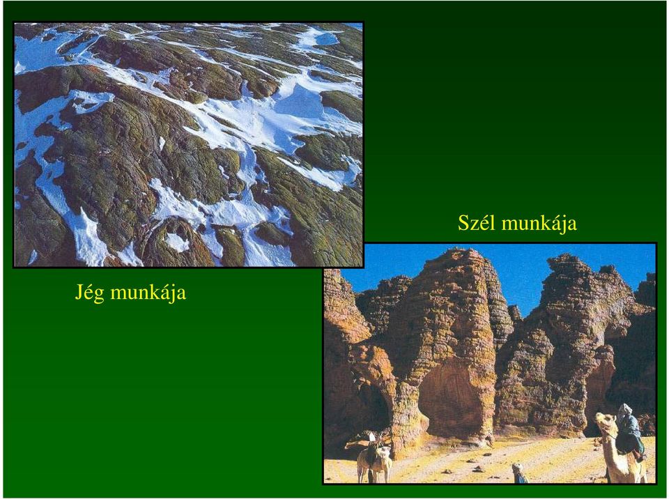 Szél