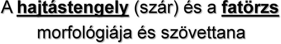fatörzs