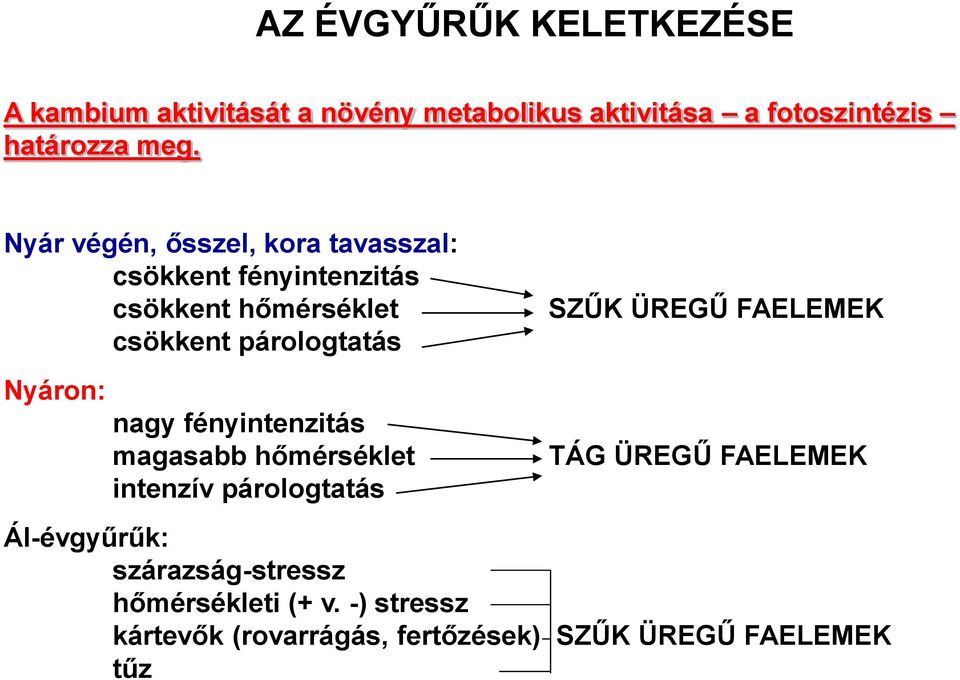 Nyáron: nagy fényintenzitás magasabb hőmérséklet intenzív párologtatás SZŰK ÜREGŰ FAELEMEK TÁG ÜREGŰ FAELEMEK