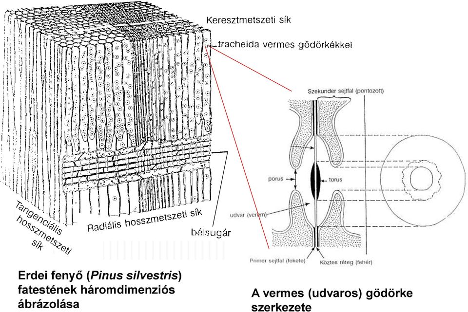 háromdimenziós ábrázolása