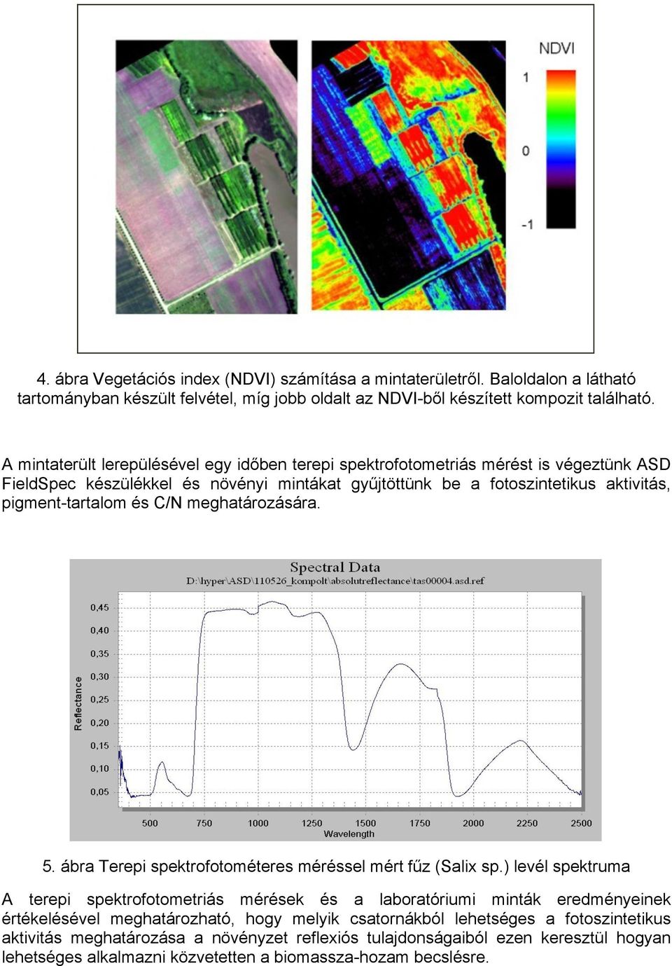 és C/N meghatározására. 5. ábra Terepi spektrofotométeres méréssel mért fűz (Salix sp.