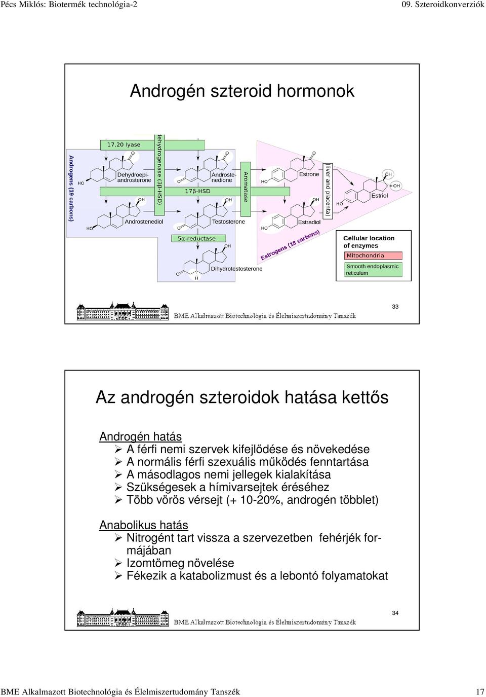 éréséhez Több vörös vérsejt (+ 10-20%, androgén többlet) Anabolikus hatás Nitrogént tart vissza a szervezetben fehérjék