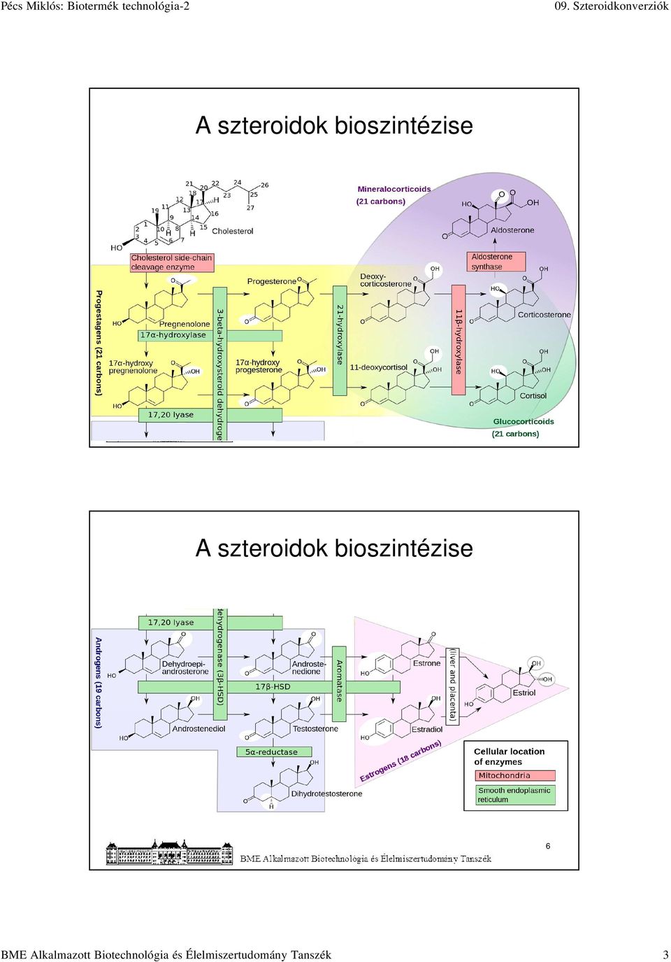 BME Alkalmazott