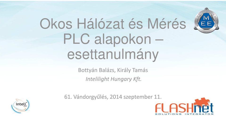 Király Tamás Intelilight Hungary