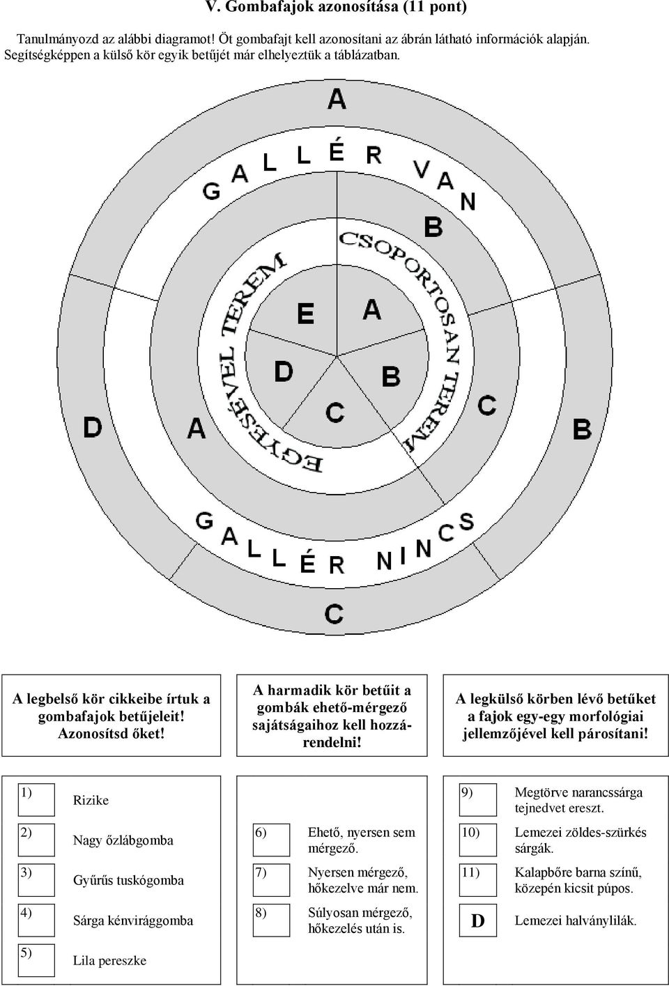 A harmadik kör betűit a gombák ehető-mérgező sajátságaihoz kell hozzárendelni! A legkülső körben lévő betűket a fajok egy-egy morfológiai jellemzőjével kell párosítani!