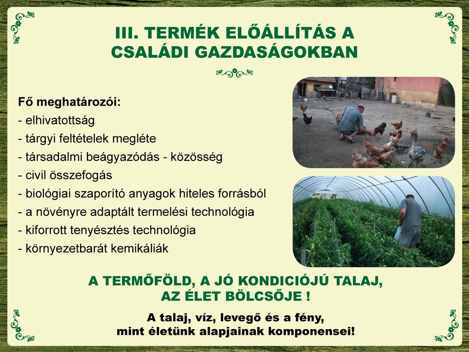 növényre adaptált termelési technológia - kiforrott tenyésztés technológia - környezetbarát kemikáliák A
