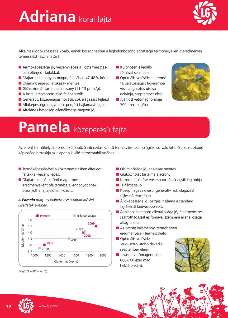 G lükozinolát tartalma alacsony (11-13 µmol/g). A korai éréscsoport első felében érik. G eneratív, középmagas növésű, sok elágazást fejleszt. Á llóképessége nagyon jó, pergési hajlama átlagos.