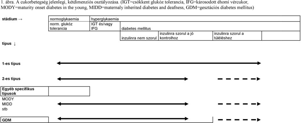 inherited diabetes and deafness, GDM=gesztációs diabetes mellitus) stádium normoglykaemia hyperglykaemia norm.