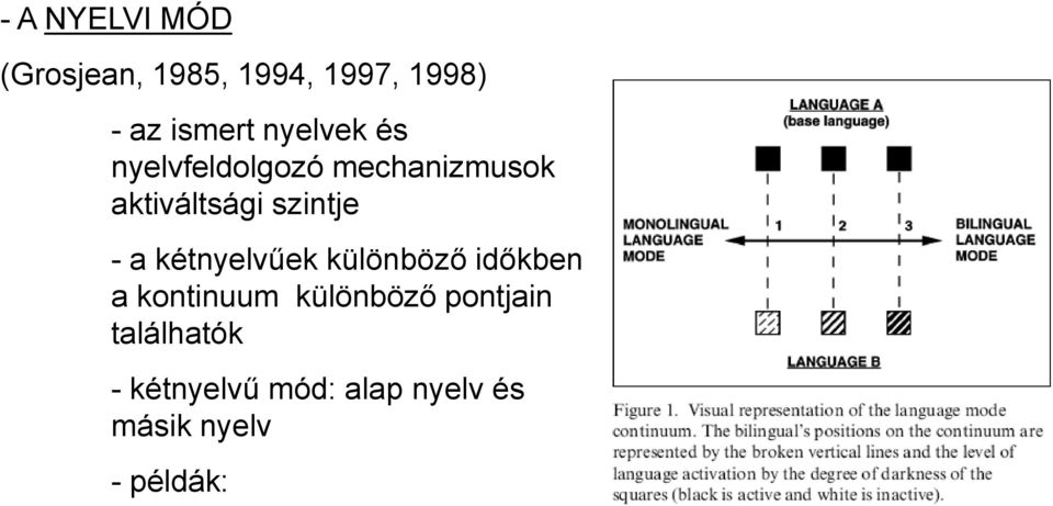 - a kétnyelvűek különböző időkben a kontinuum különböző