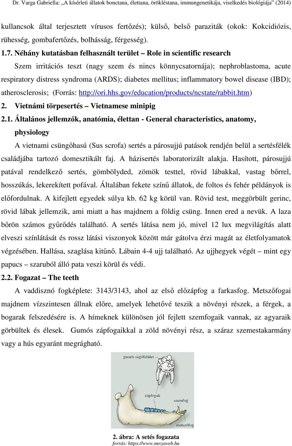 mellitus; inflammatory bowel disease (IBD); atherosclerosis; (Forrás: http://ori.hhs.gov/education/products/ncstate/rabbit.htm) 2. Vietnámi törpesertés Vietnamese minipig 2.1.