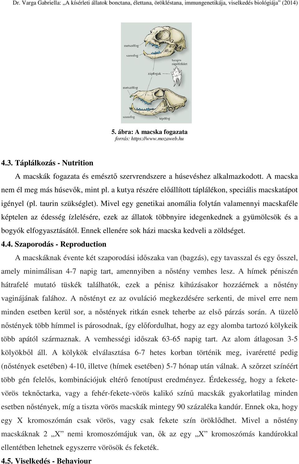 Dr. Varga Gabriella: A kísérleti állatok bonctana, élettana, örökléstana,  immungenetikája, viselkedés biológiája (2014) - PDF Free Download