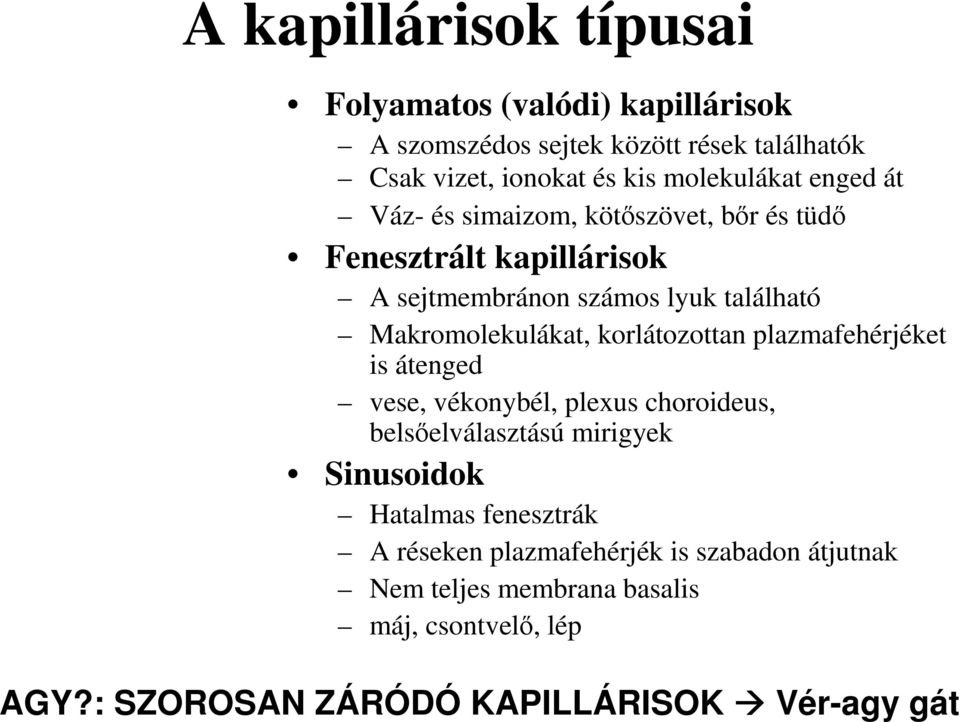 Makromolekulákat, korlátozottan plazmafehérjéket is átenged vese, vékonybél, plexus choroideus, belsőelválasztású mirigyek Sinusoidok