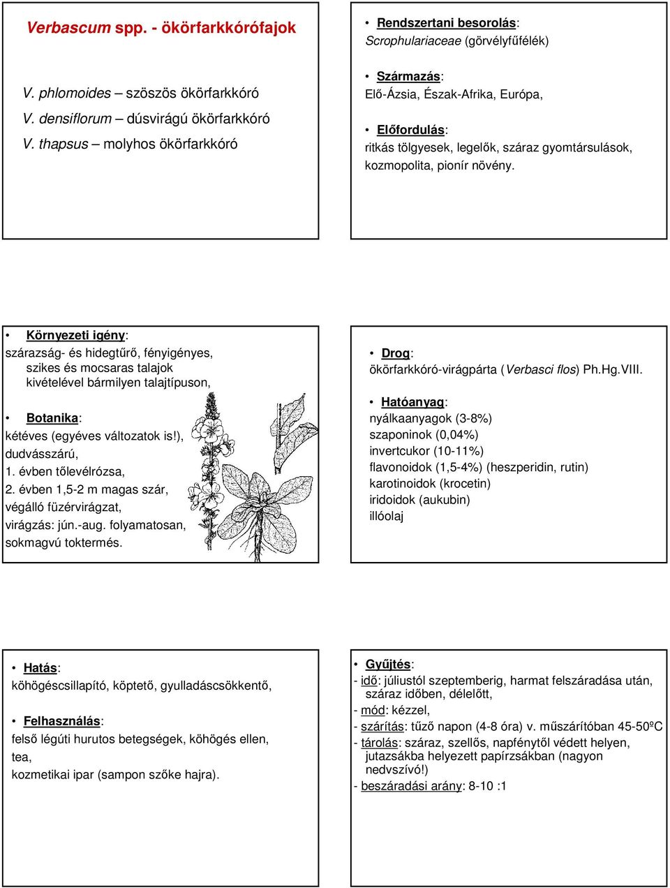 szárazság- és hidegtőrı, fényigényes, szikes és mocsaras talajok kivételével bármilyen talajtípuson, kétéves (egyéves változatok is!), dudvásszárú, 1. évben tılevélrózsa, 2.