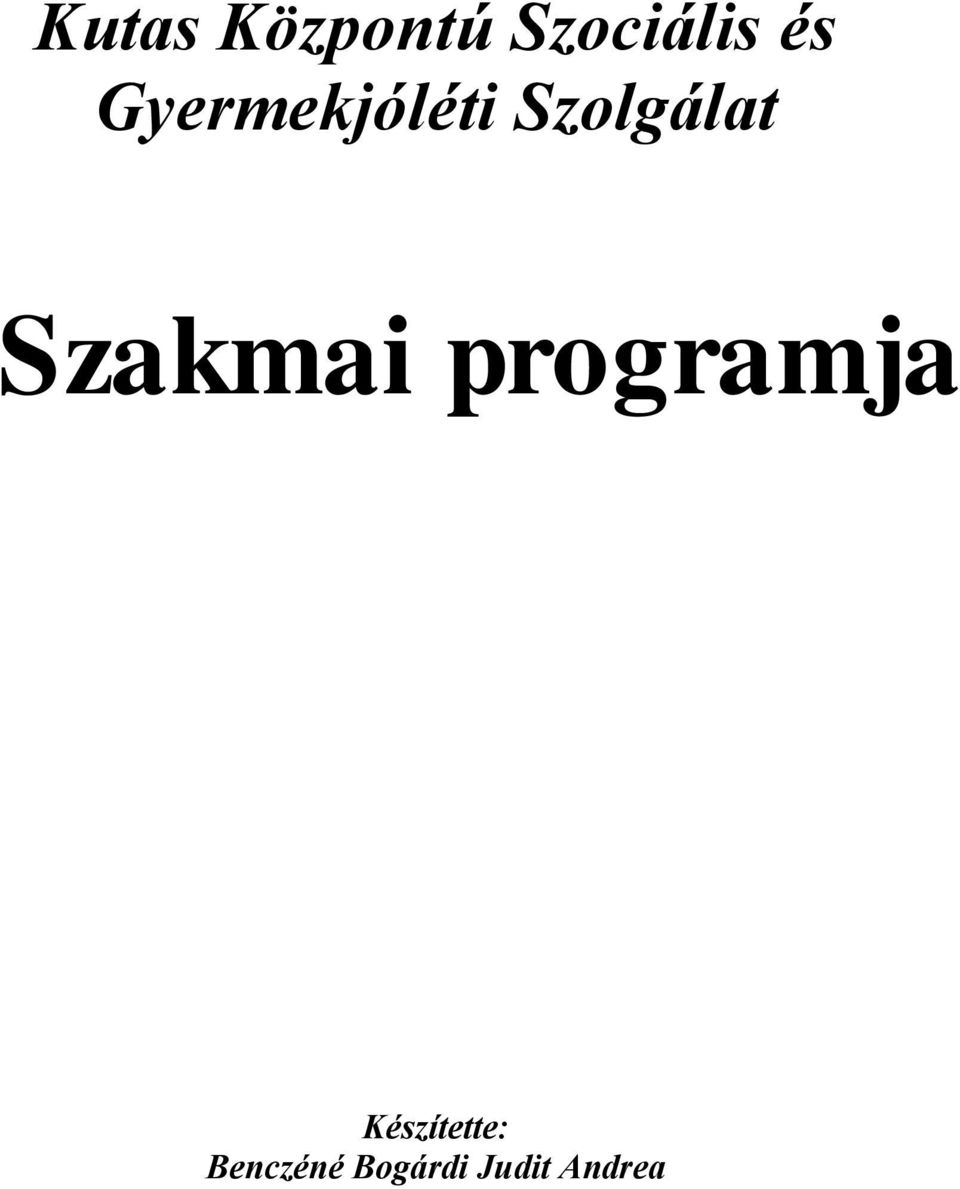 Szakmai programja