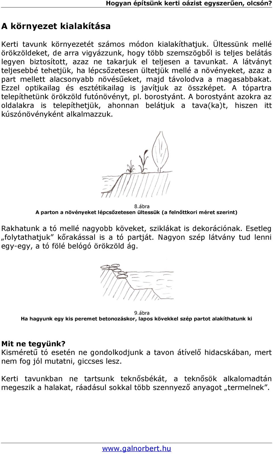A látványt teljesebbé tehetjük, ha lépcsőzetesen ültetjük mellé a növényeket, azaz a part mellett alacsonyabb növésűeket, majd távolodva a magasabbakat.