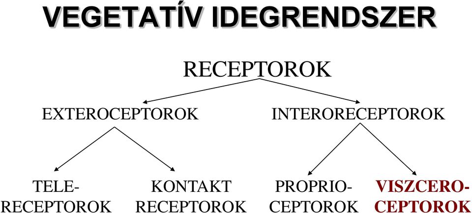 TELE- RECEPTOROK KONTAKT