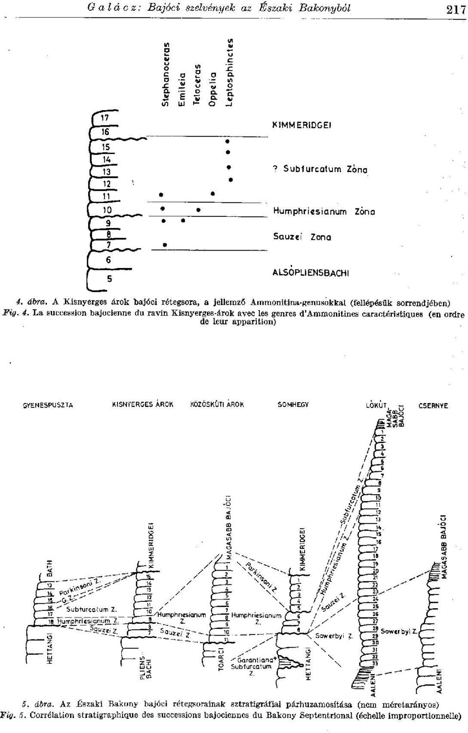 La succession bajocienne du ravin Kisnyerges-árok avec les genres d'ammonitines caractéristiques (en ordre de leur apparition)