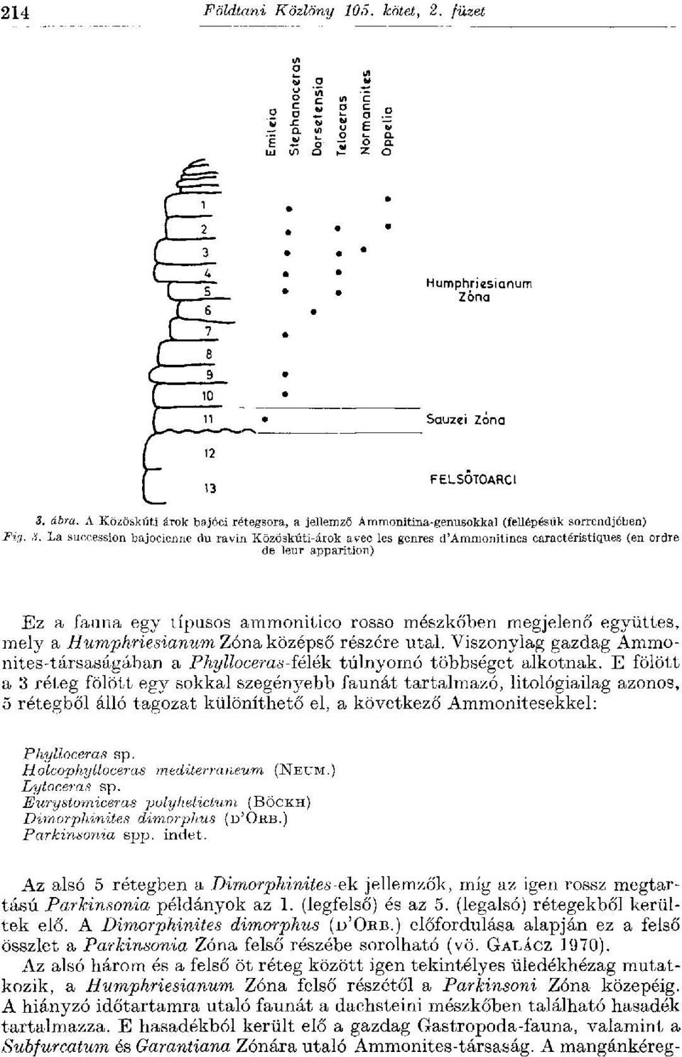 La succession bajocienne du ravin Közöskúti-árok avec les genres d'ammonitines caractéristiques (en ordre de leur apparition) Ez a fauna egy típusos ammonitico rosso mészkőben megjelenő együttes,