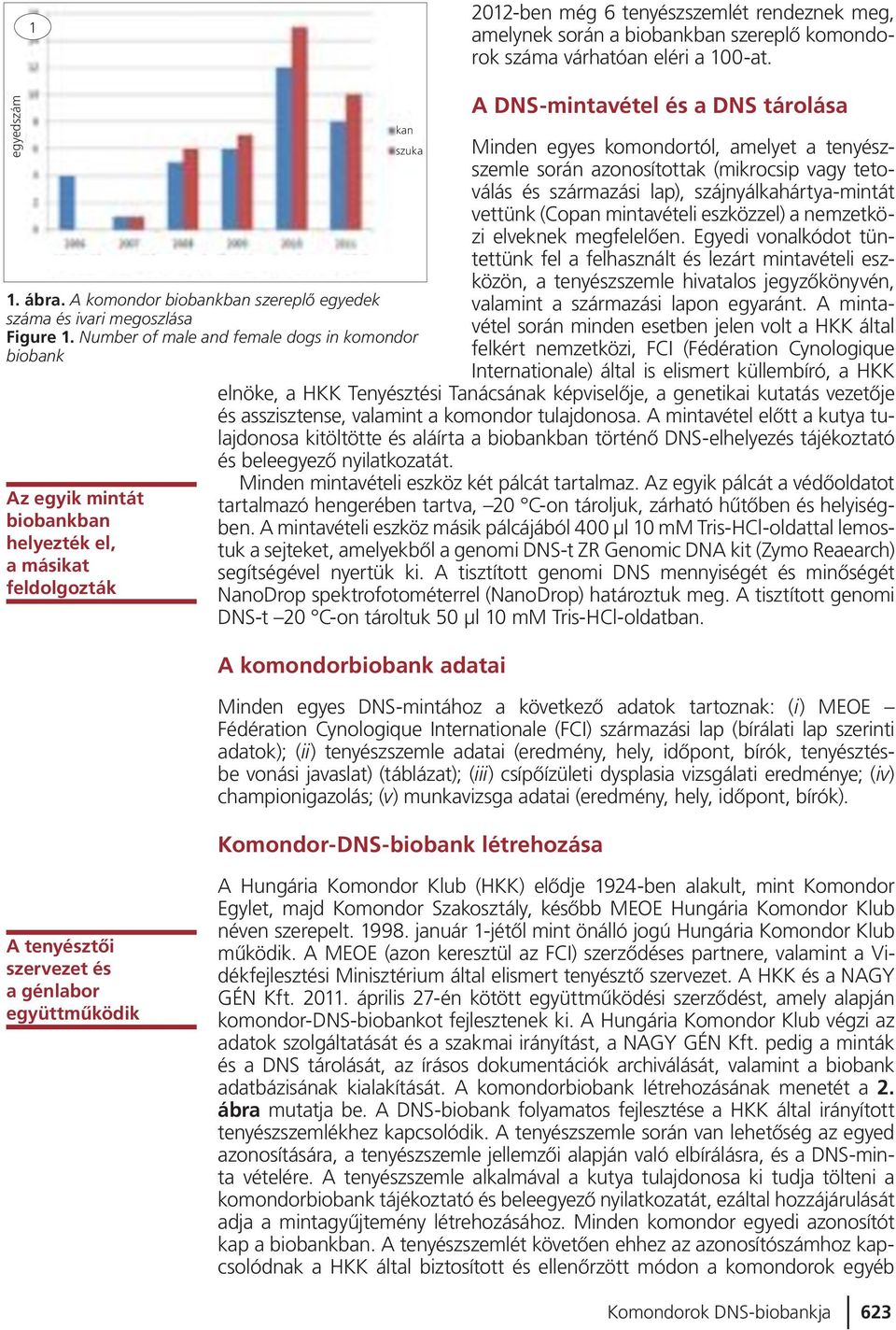 Number of male and female dogs in komondor biobank Az egyik mintát biobankban helyezték el, a másikat feldolgozták kan szuka A DNS-mintavétel és a DNS tárolása Minden egyes komondortól, amelyet a