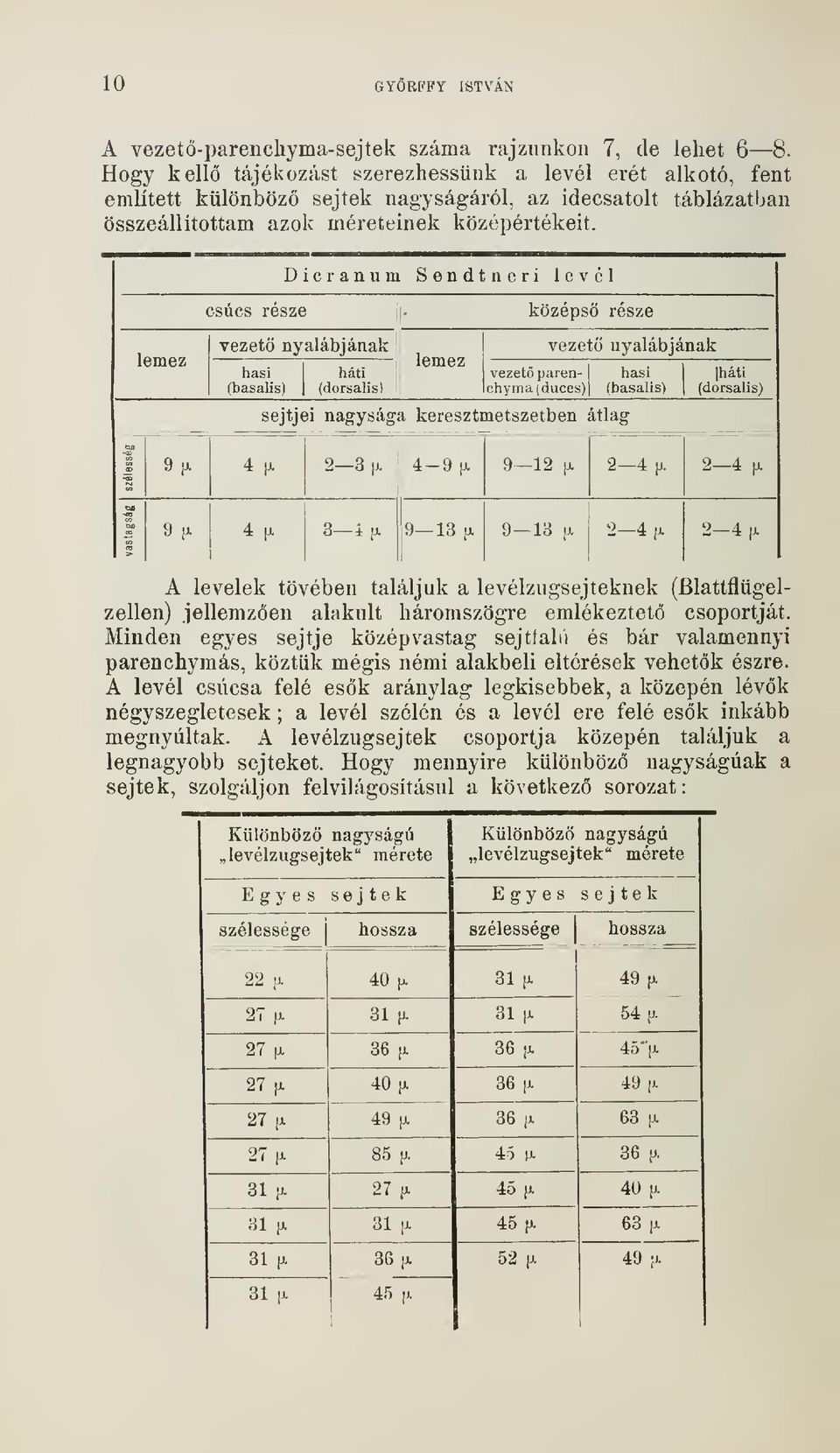 Dicranum Sendtneri levél csúcs része középs része lemez vezet nyalábjának hasi fbasalis) háti (dorsalis) lemez vezet parenchyma(duces) vezet nyalábjának hasi (basalis) [háti (dorsalis) sejtjei