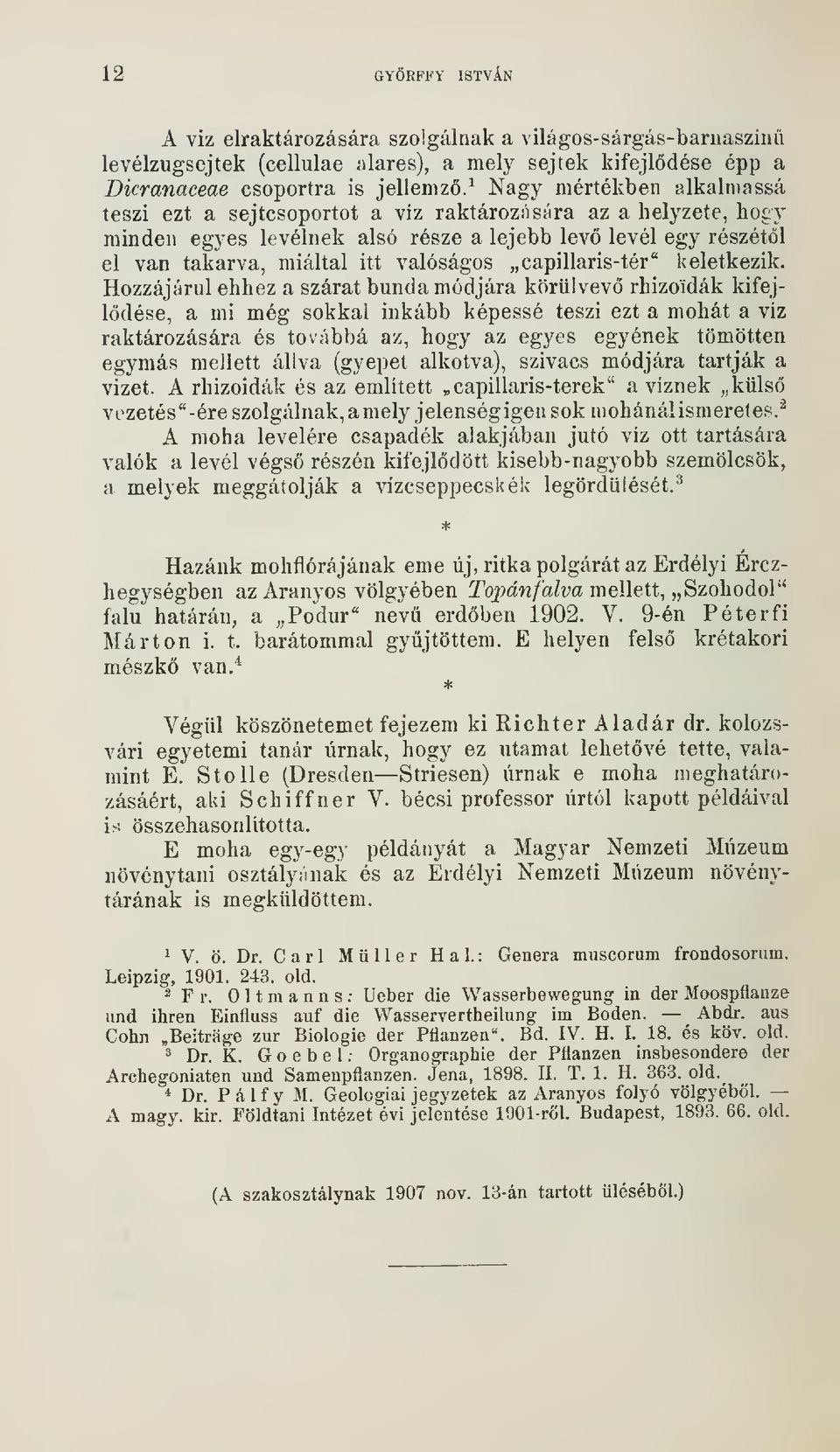 capillaris-tér" keletkezik.