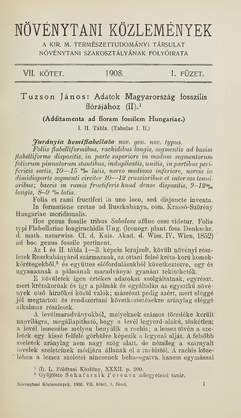 Foliis flabelliformibus, rachidibus loyigis, segmentis ad basim flabelliforme dispositis, in parte superiore in moclum segmentorum foliorum pinyiatorum stantibus, induplicatis, unitis, in partibus