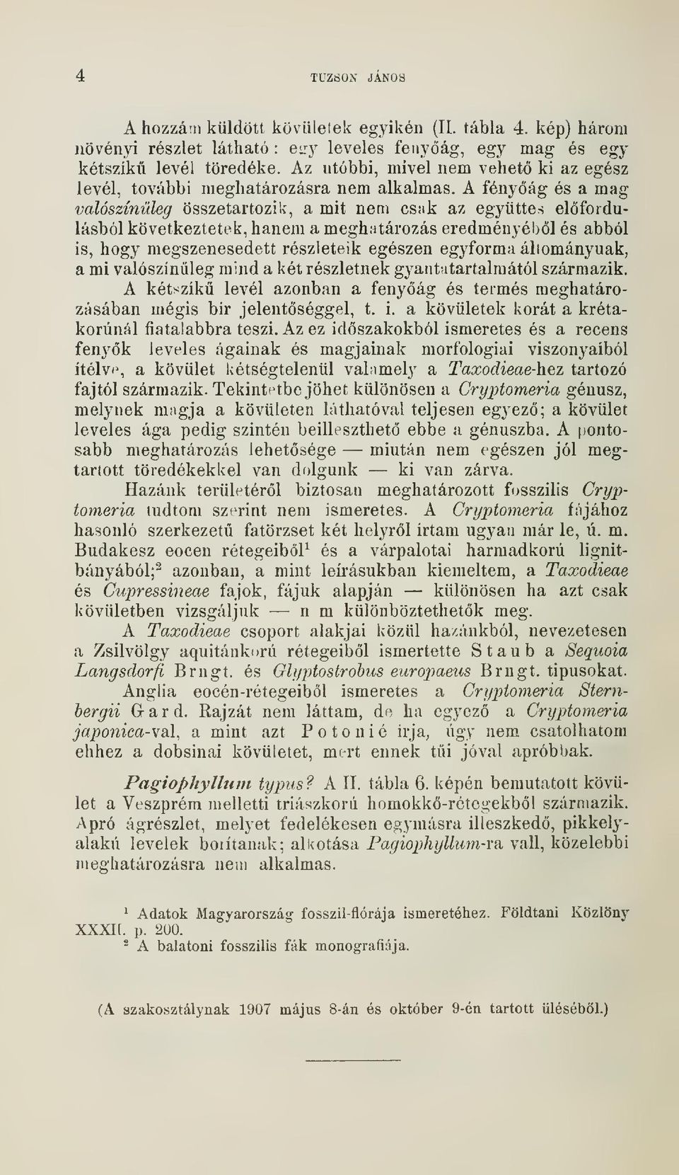 A fenyág és a mag valószínleg összetartozik, a mit nem csak az együttes elfordulásból következtetek, hanem a meghatározás eredményébl és abból is, hogy megszenesedett részleteik egészen egyforma