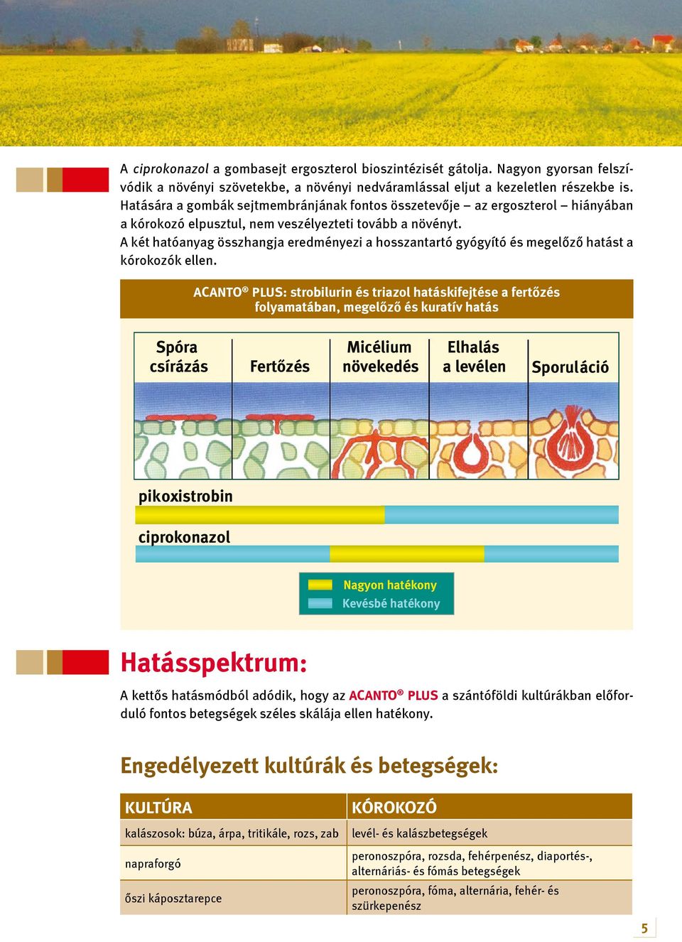 A két hatóanyag összhangja eredményezi a hosszantartó gyógyító és megelőző hatást a kórokozók ellen.