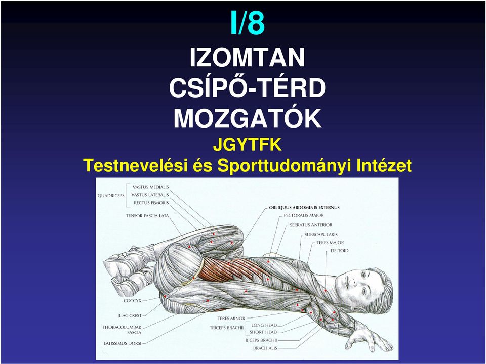 I/8 IZOMTAN CSÍPİ-TÉRD MOZGATÓK JGYTFK Testnevelési és Sporttudományi  Intézet - PDF Free Download