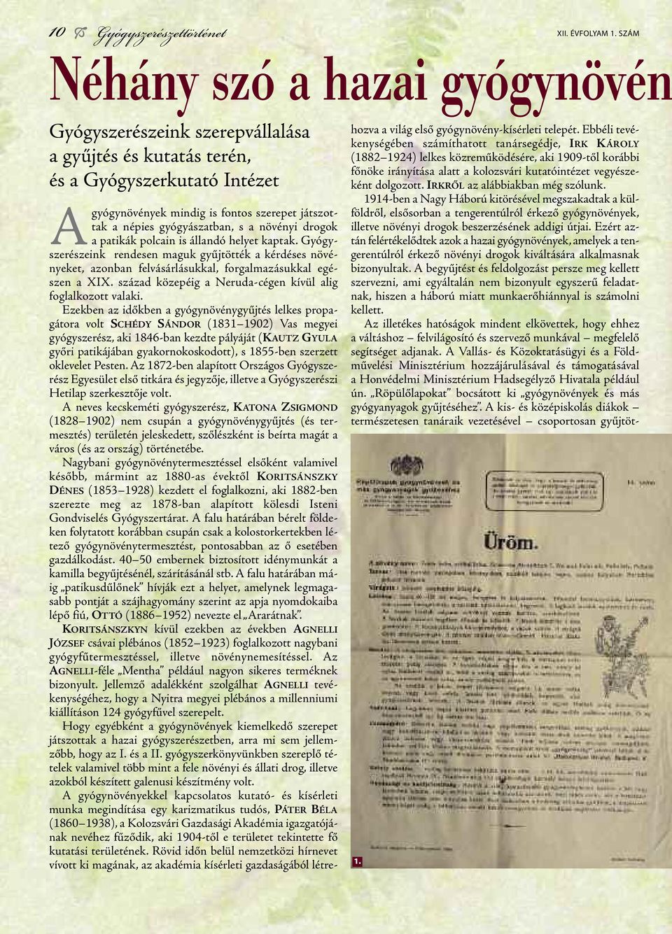 gyógyászatban, s a növényi drogok a patikák polcain is állandó helyet kaptak.