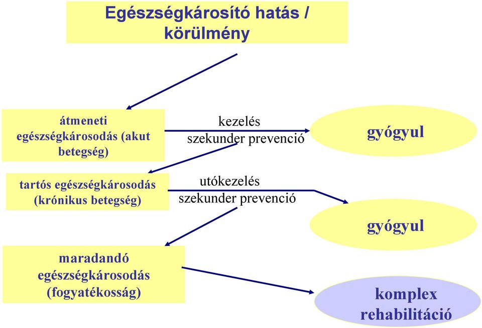 maradandó egészségkárosodás (fogyatékosság) kezelés szekunder