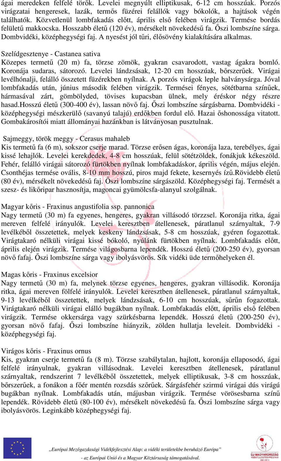 A nyesést jól tűri, élősövény kialakítására alkalmas. Szelídgesztenye - Castanea sativa Közepes termetű (20 m) fa, törzse zömök, gyakran csavarodott, vastag ágakra bomló. Koronája sudaras, sátorozó.