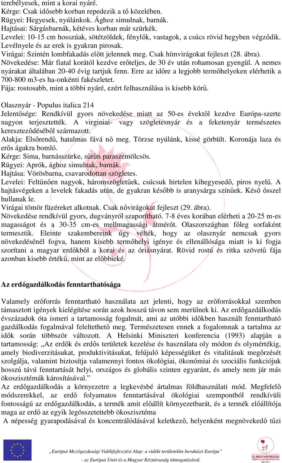 Csak hímvirágokat fejleszt (28. ábra). Növekedése: Már fiatal korától kezdve erőteljes, de 30 év után rohamosan gyengül. A nemes nyárakat általában 20-40 évig tartjuk fenn.