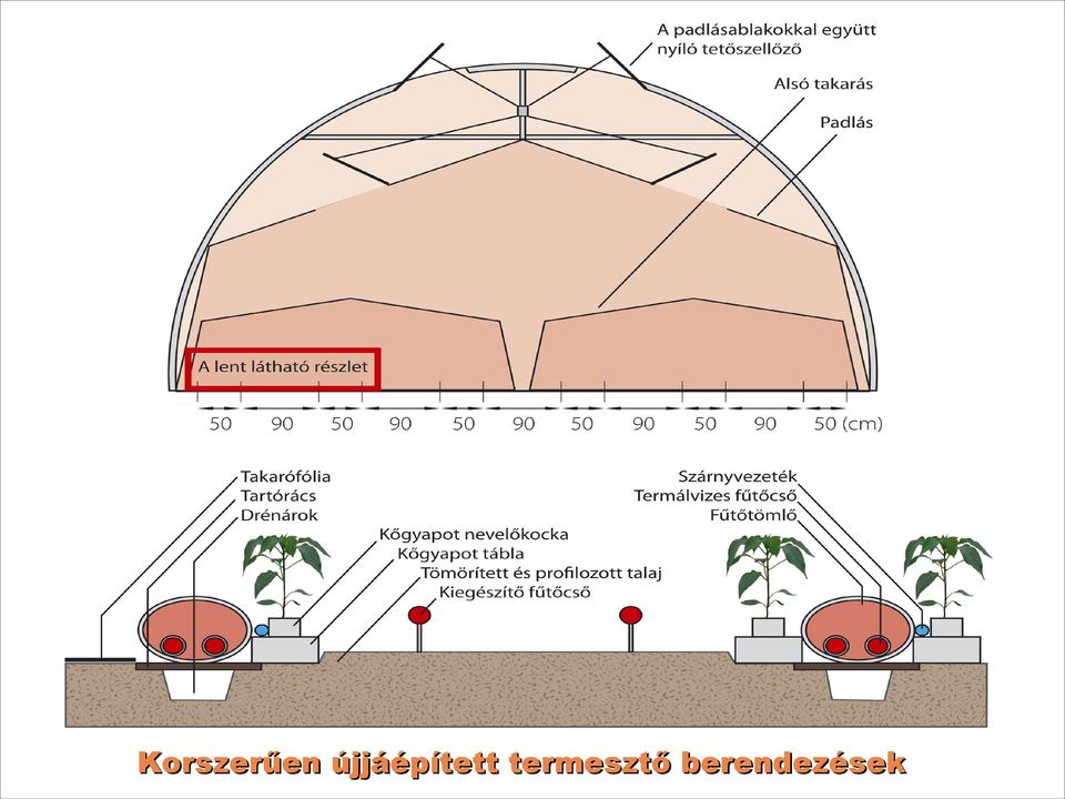 termesztő