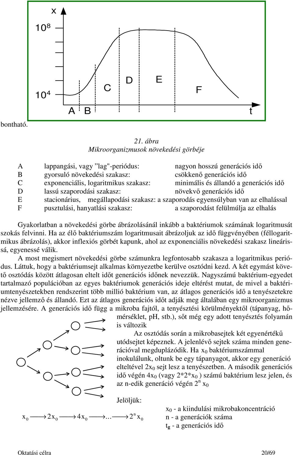 minimális és állandó a generációs idő D lassú szaporodási szakasz: növekvő generációs idő E stacionárius, megállapodási szakasz: a szaporodás egyensúlyban van az elhalással F pusztulási, hanyatlási