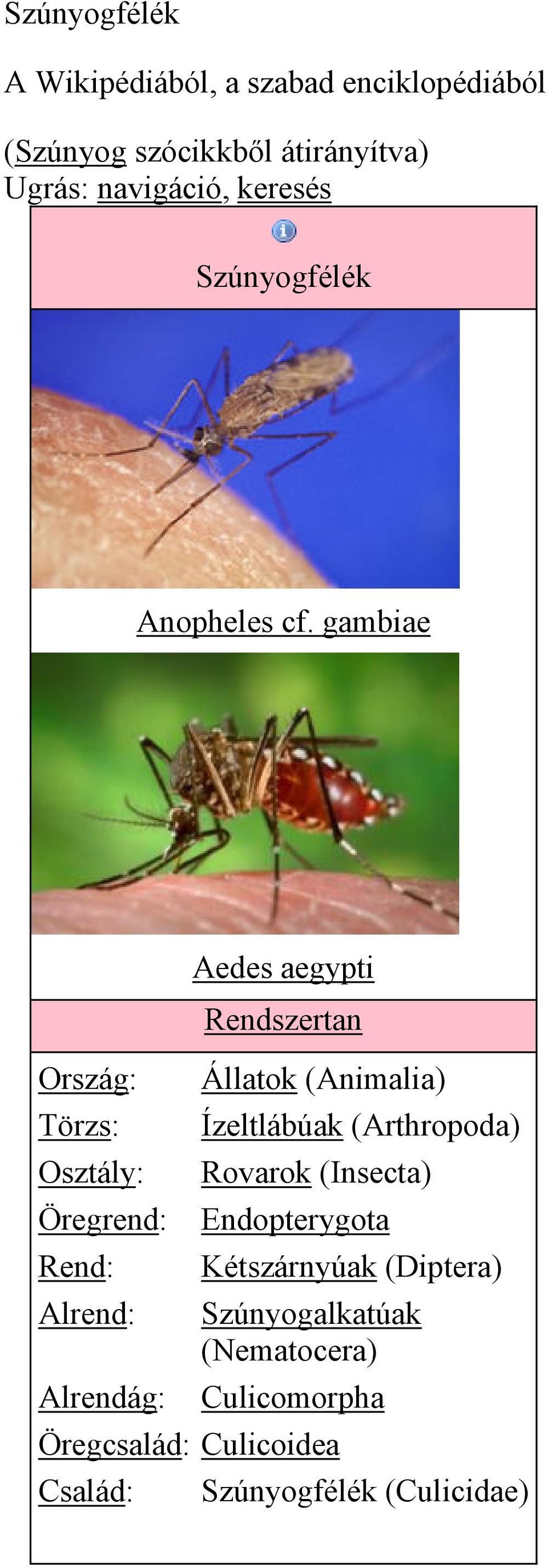 gambiae Ország: Törzs: Osztály: Öregrend: Rend: Alrend: Alrendág: Aedes aegypti Rendszertan Állatok