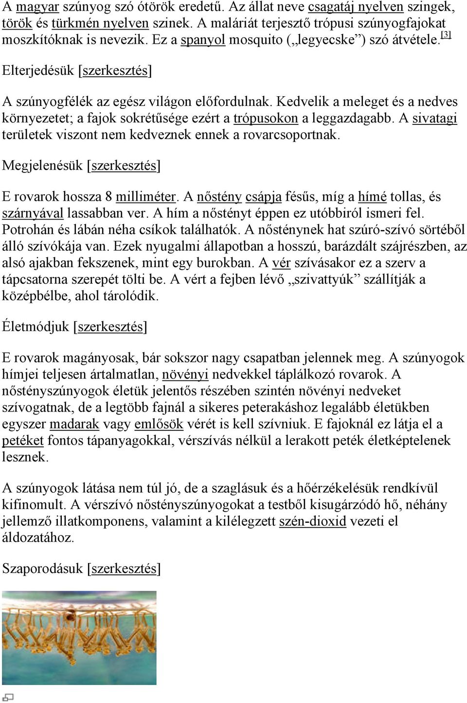 Kedvelik a meleget és a nedves környezetet; a fajok sokrétűsége ezért a trópusokon a leggazdagabb. A sivatagi területek viszont nem kedveznek ennek a rovarcsoportnak.