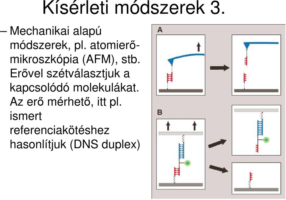 atomierımikroszkópia (AFM), stb.