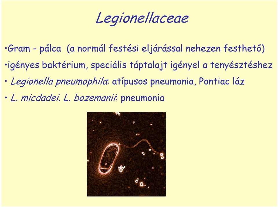 igényel a tenyésztéshez Legionella pneumophila: atípusos
