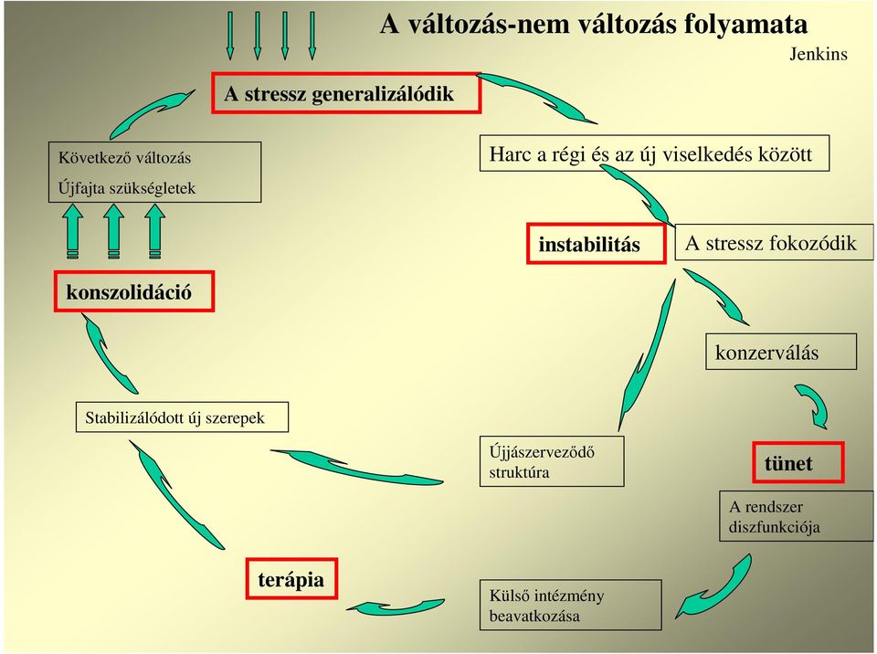 A stressz fokozódik konszolidáció konzerválás Stabilizálódott új szerepek